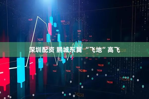 深圳配资 鹏城东翼 “飞地”高飞