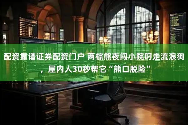 配资靠谱证券配资门户 两棕熊夜闯小院叼走流浪狗 ，屋内人30秒帮它“熊口脱险”