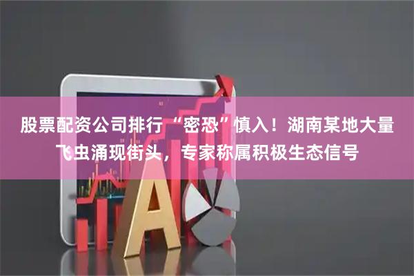 股票配资公司排行 “密恐”慎入！湖南某地大量飞虫涌现街头，专家称属积极生态信号